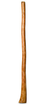 Gloss Finish Flared Didgeridoo (TW851)